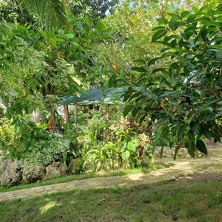 Zapote Tree Inn フローレス エクステリア 写真