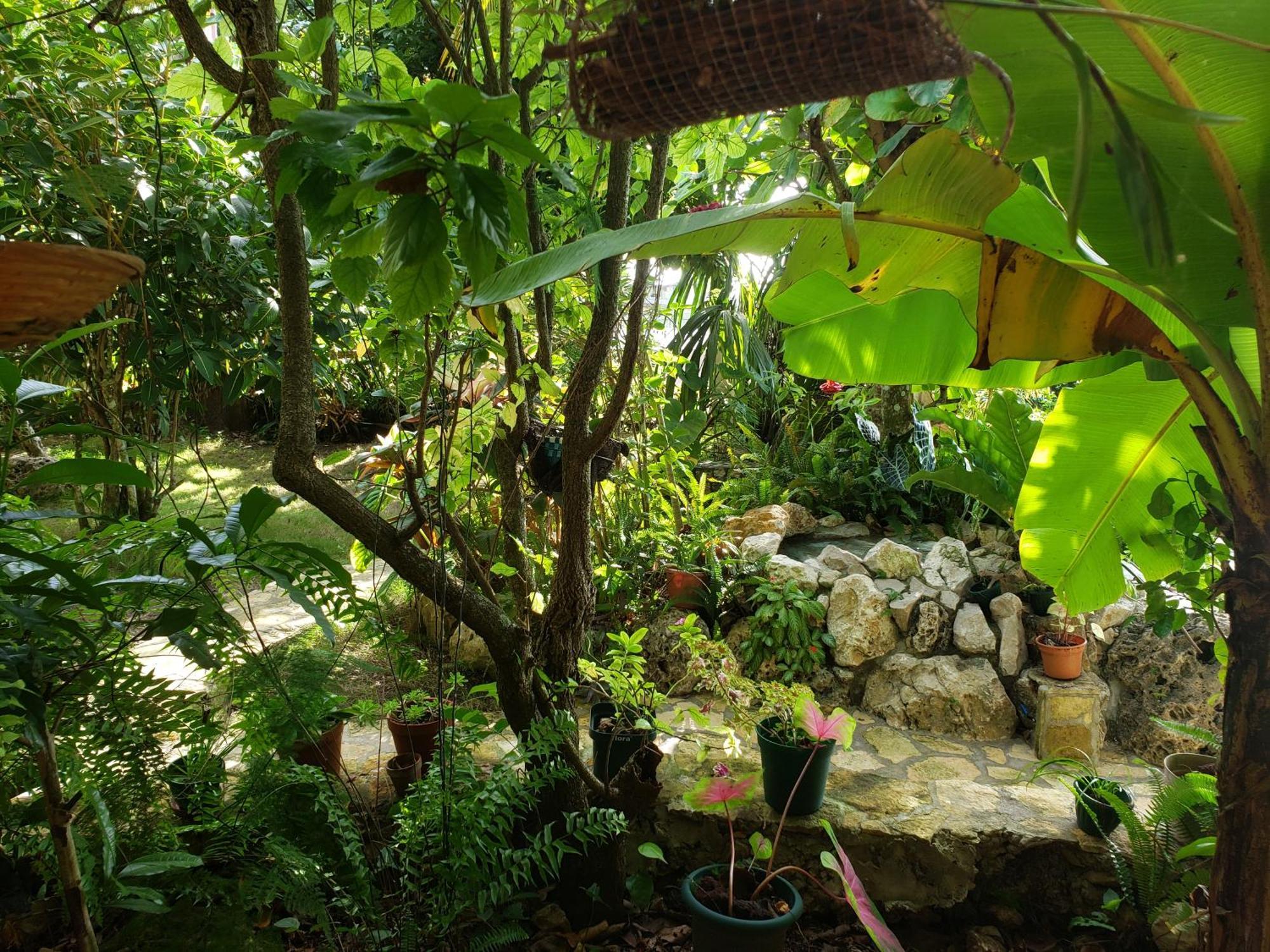 Zapote Tree Inn フローレス エクステリア 写真
