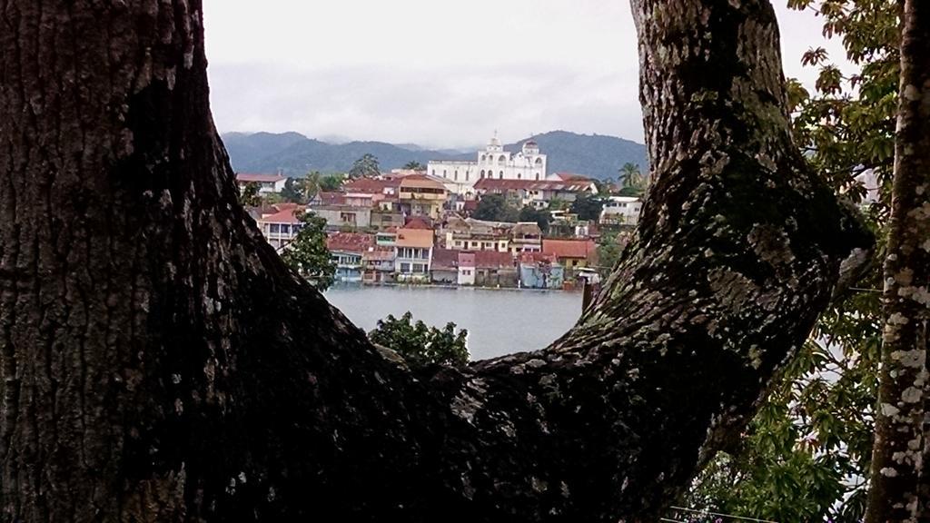 Zapote Tree Inn フローレス エクステリア 写真