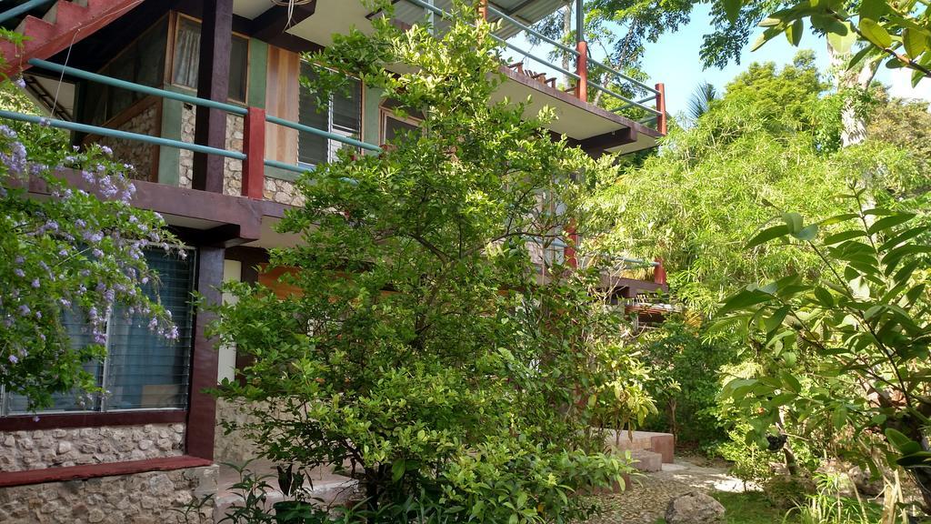 Zapote Tree Inn フローレス エクステリア 写真