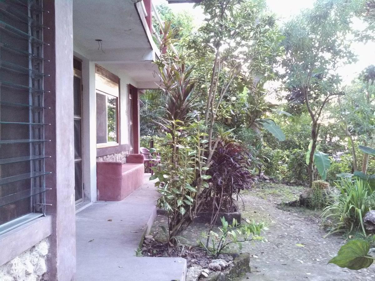 Zapote Tree Inn フローレス エクステリア 写真