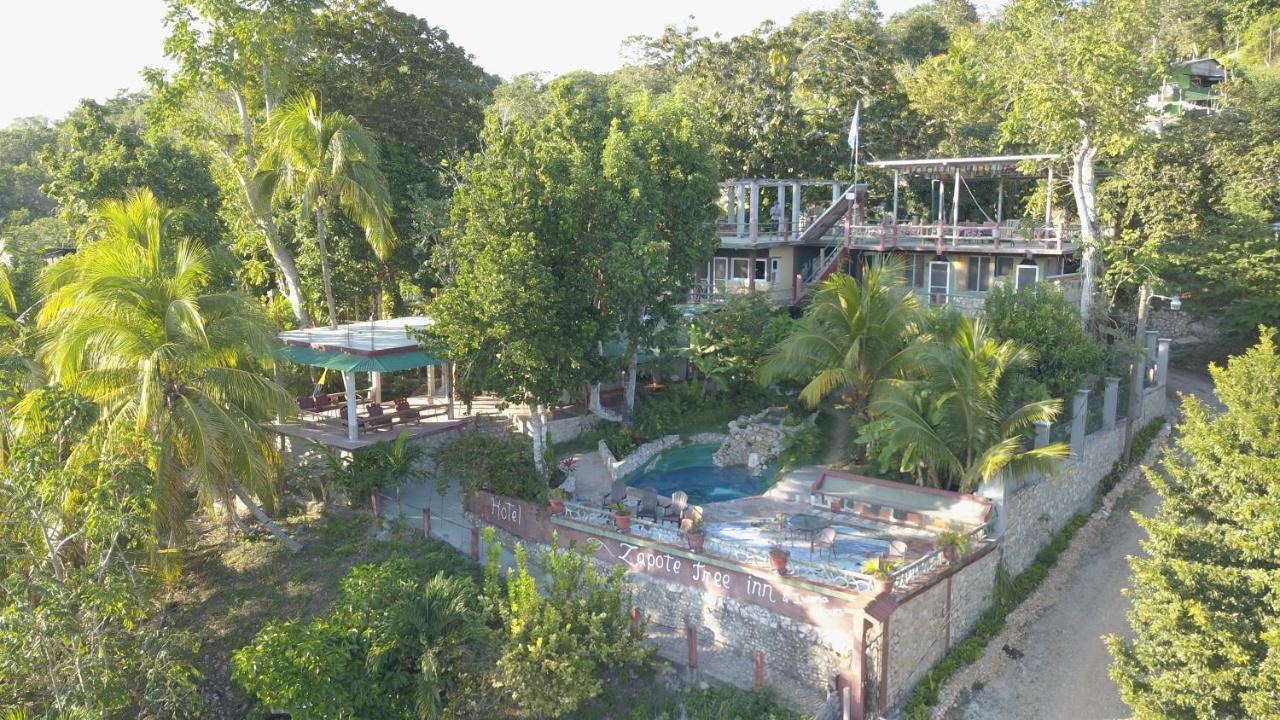 Zapote Tree Inn フローレス エクステリア 写真